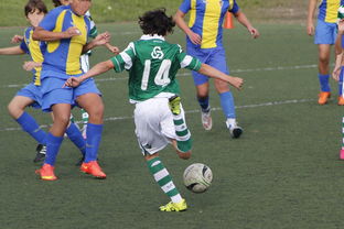 星空中国官网-体育新闻中心发布体育内容原创度评估智能工具，原创体育sports